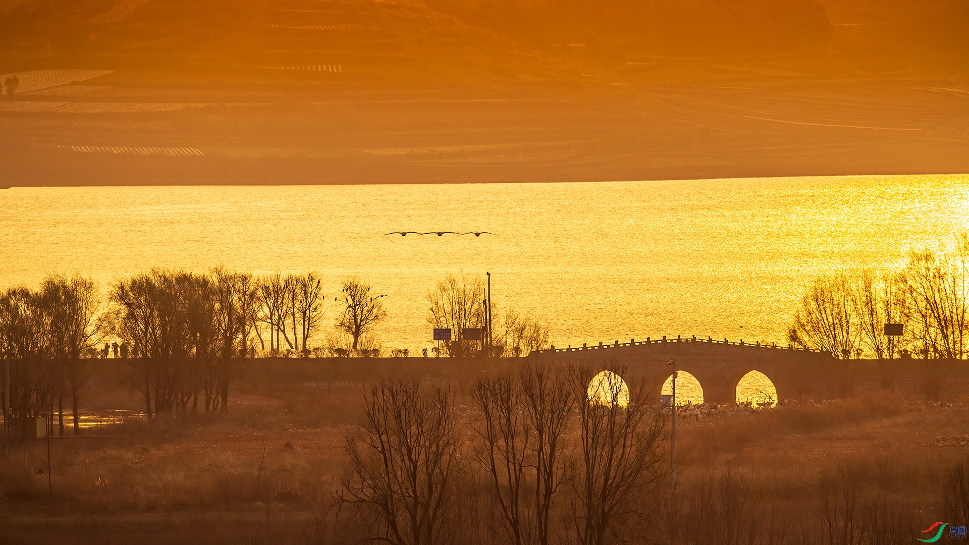 NIKON-D5_20210302_075809-2.jpg
