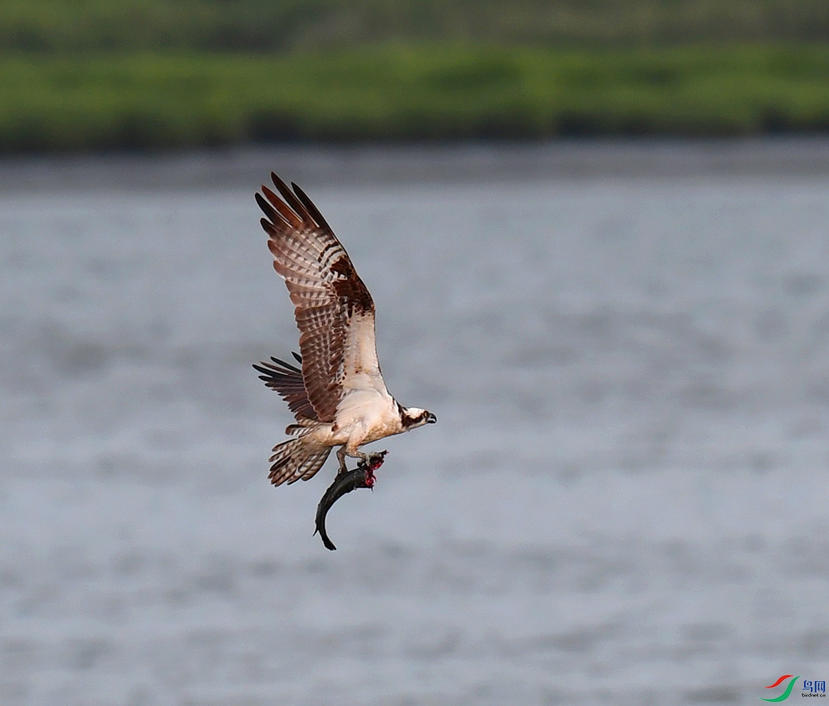 ��Ƭ 1218 - ����.jpg