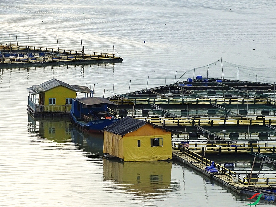 DSC02242.JPG