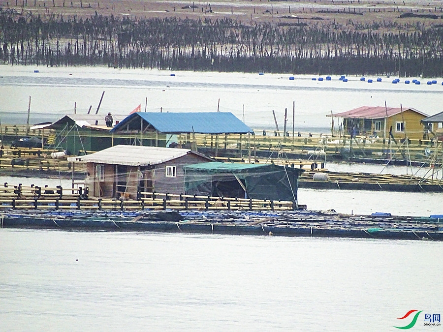 DSC02243.JPG