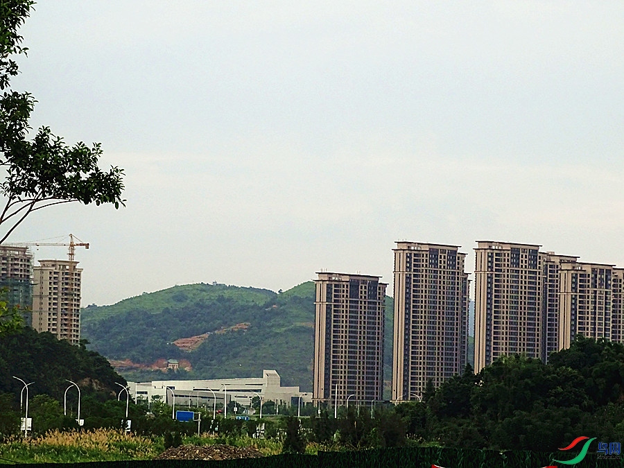DSC02269.JPG