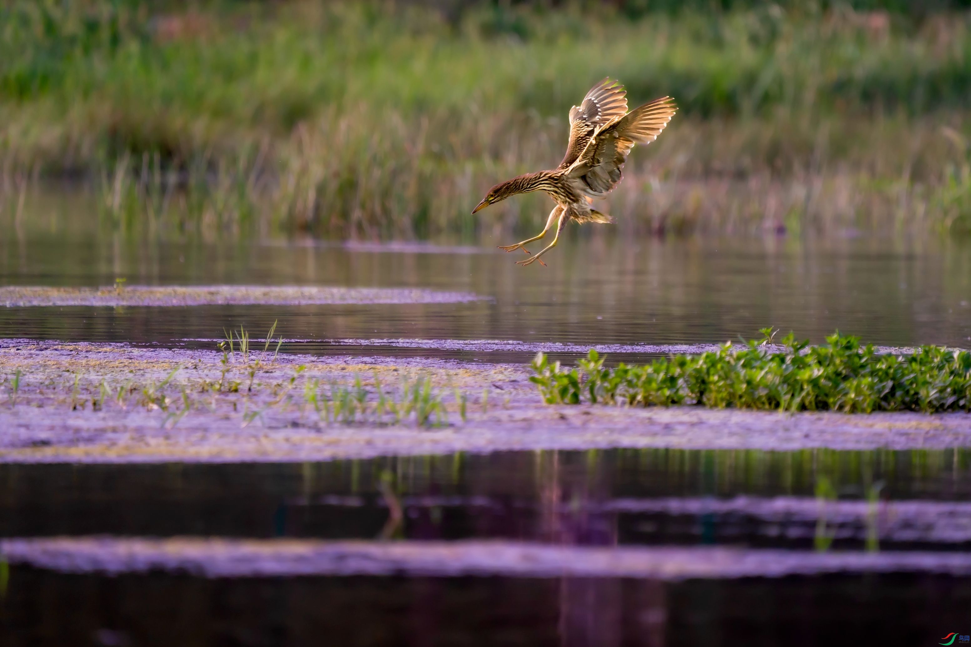 ���ء����ǳ���