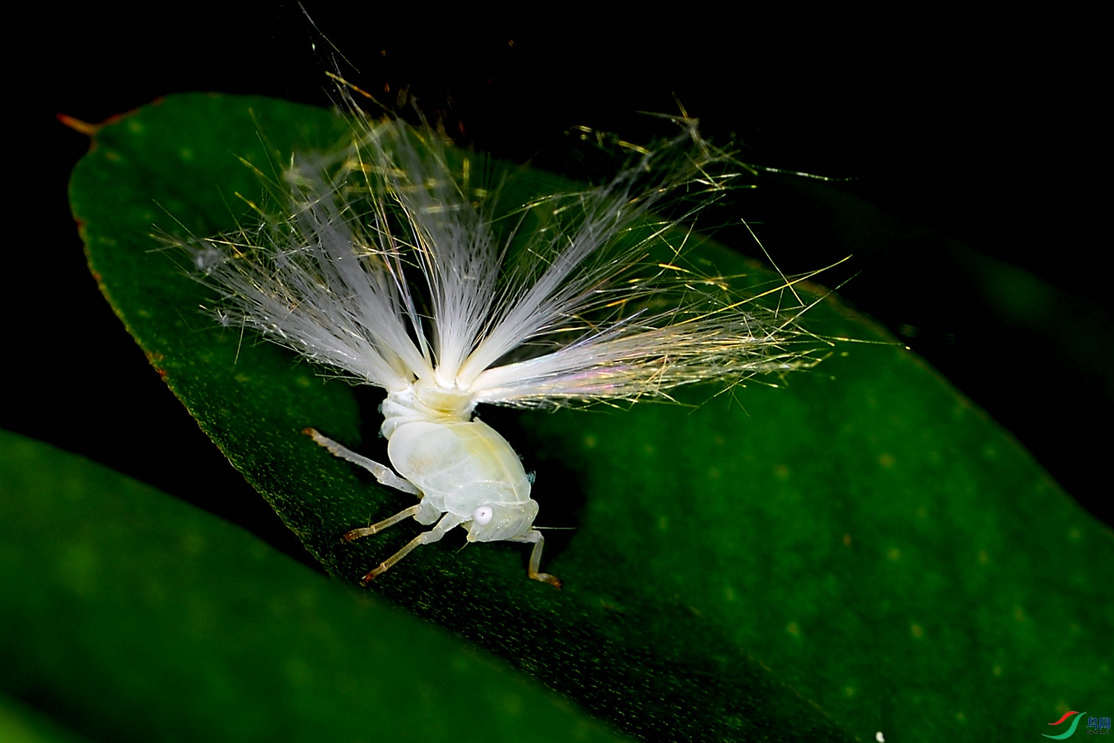 DSC_0320_����.jpg