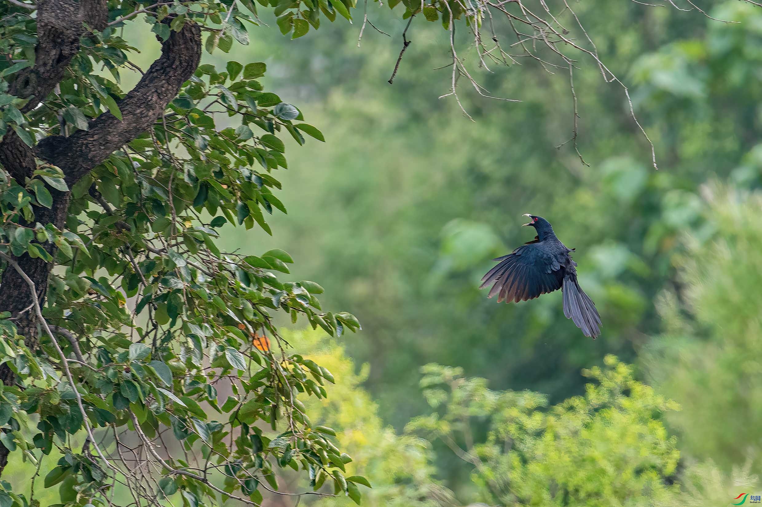 DSC_6785.jpg