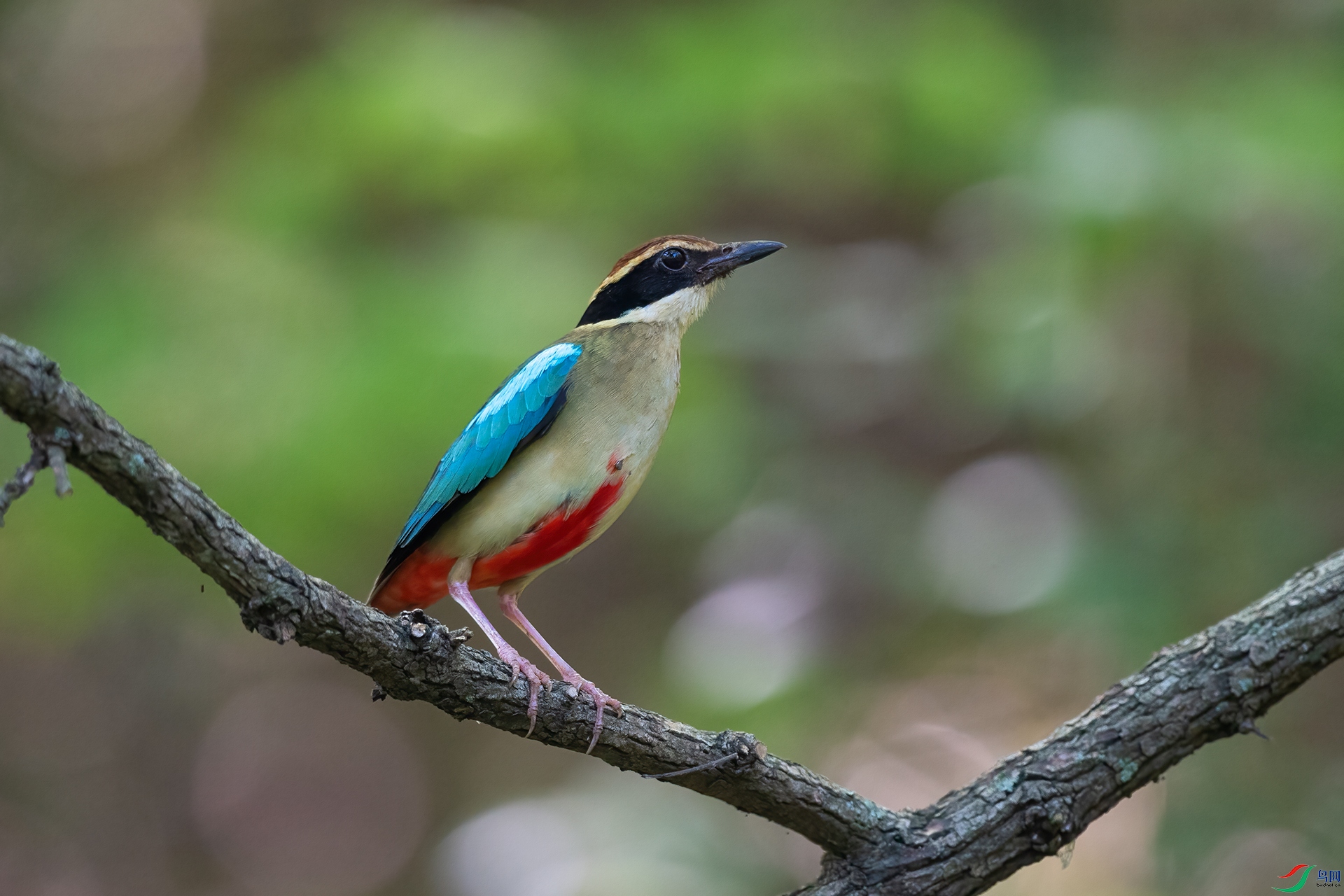 _DSC3046.jpg