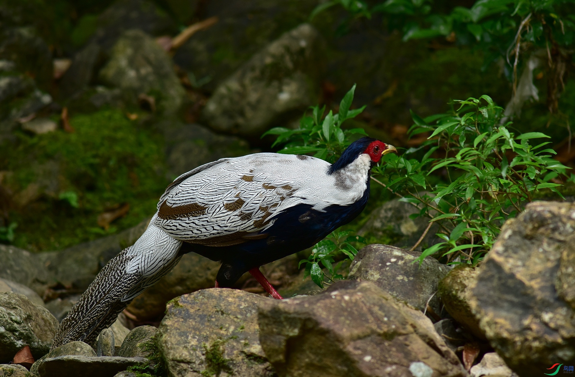 D8I_6527.jpg
