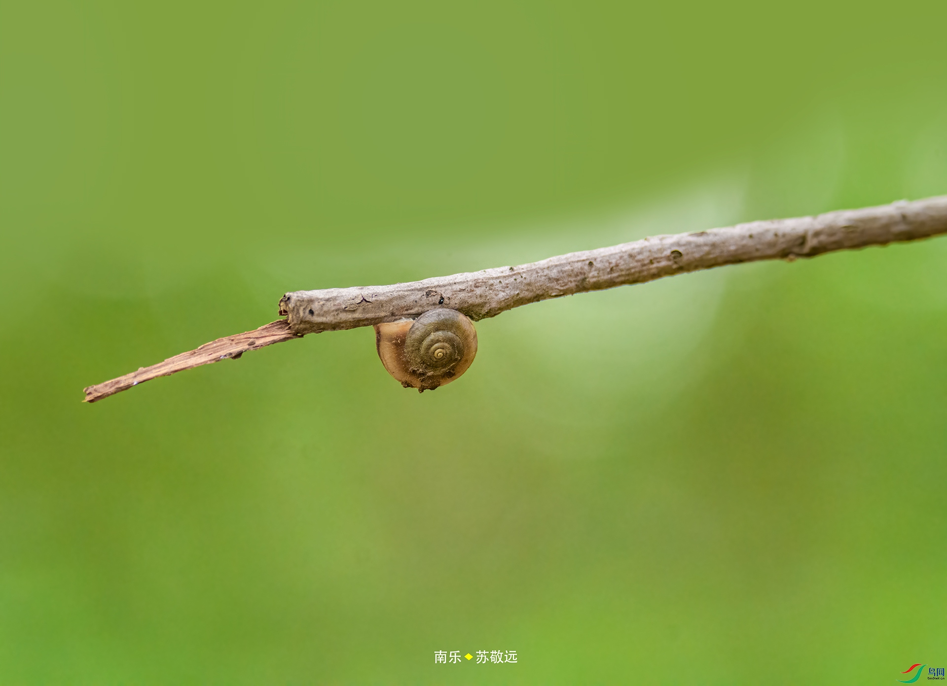 _DSC5630С.jpg