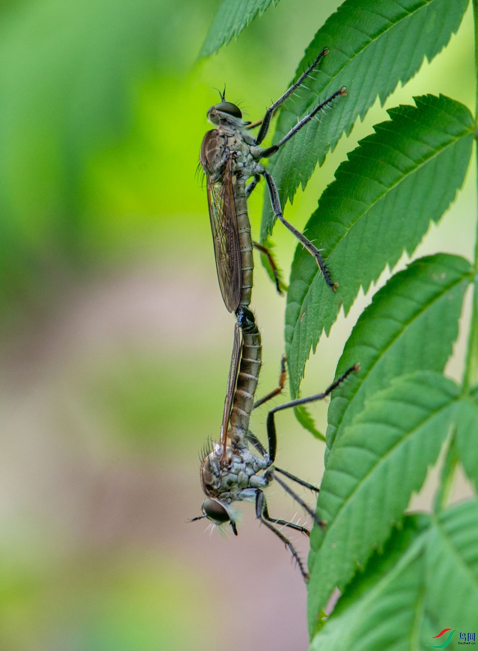 _DSC4162 ����.jpg