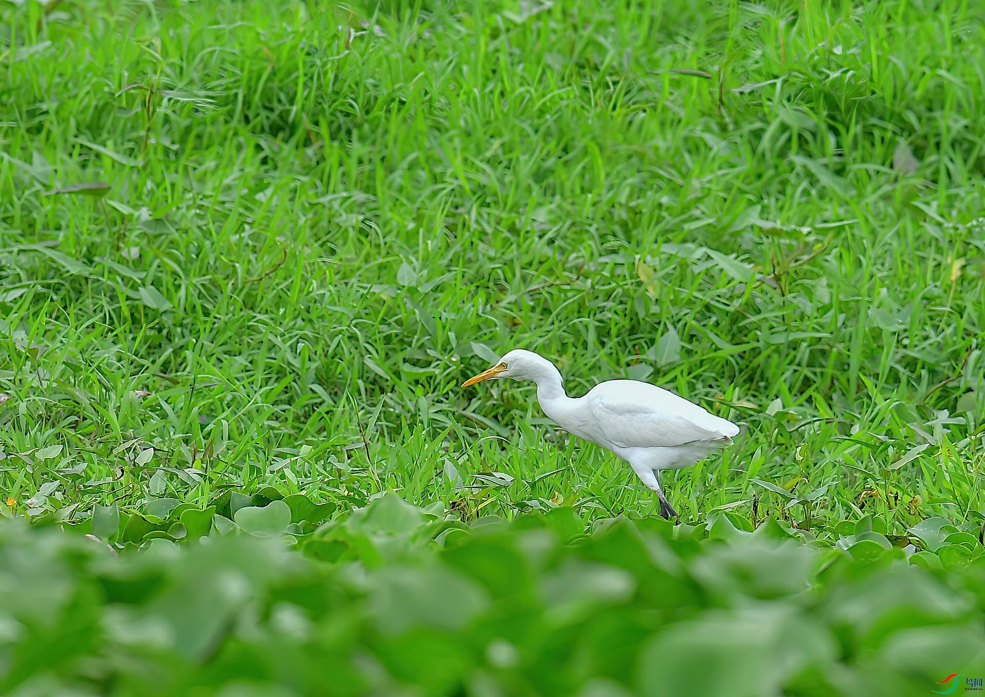 DSC_7892.JPG