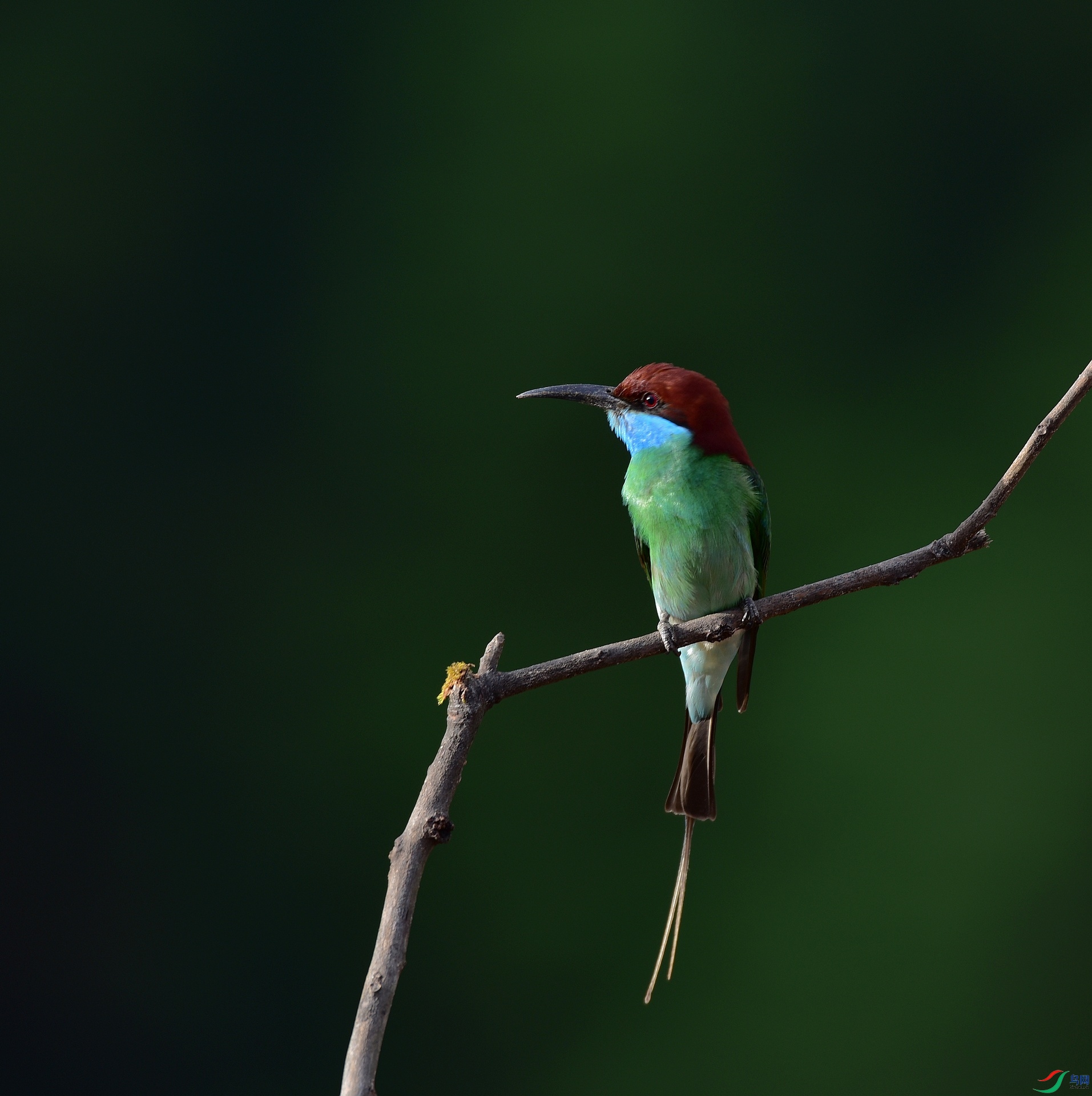 D8I_9442.jpg