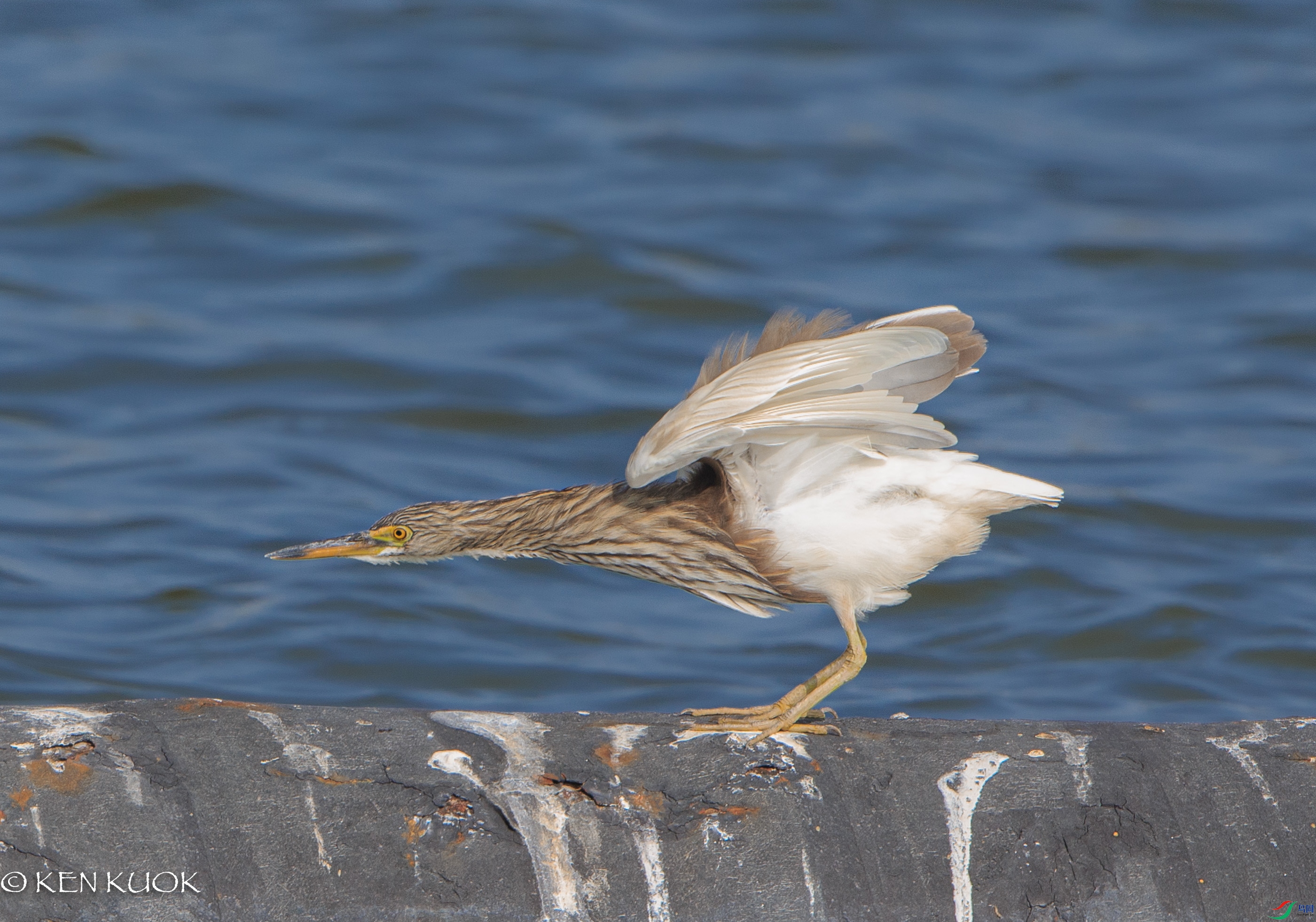 1DX_3314.jpg