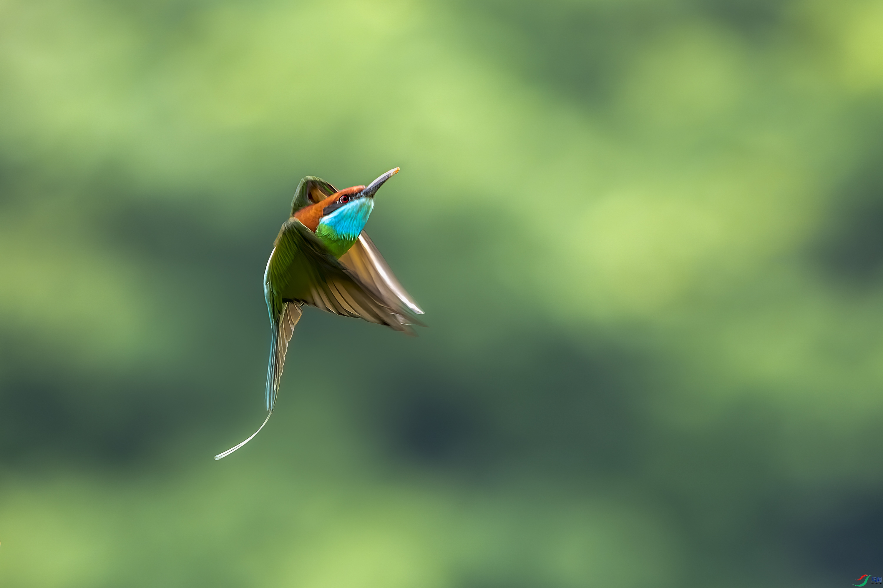DSC_3777_2.jpg