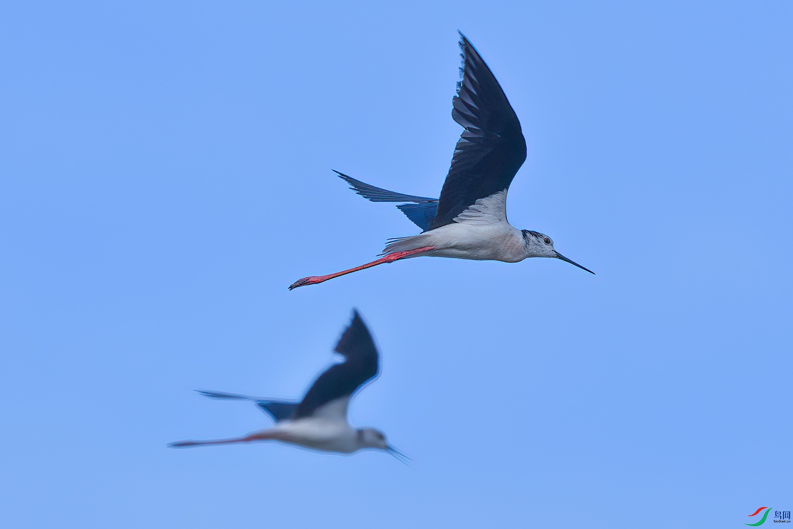 DSC_9305.jpg