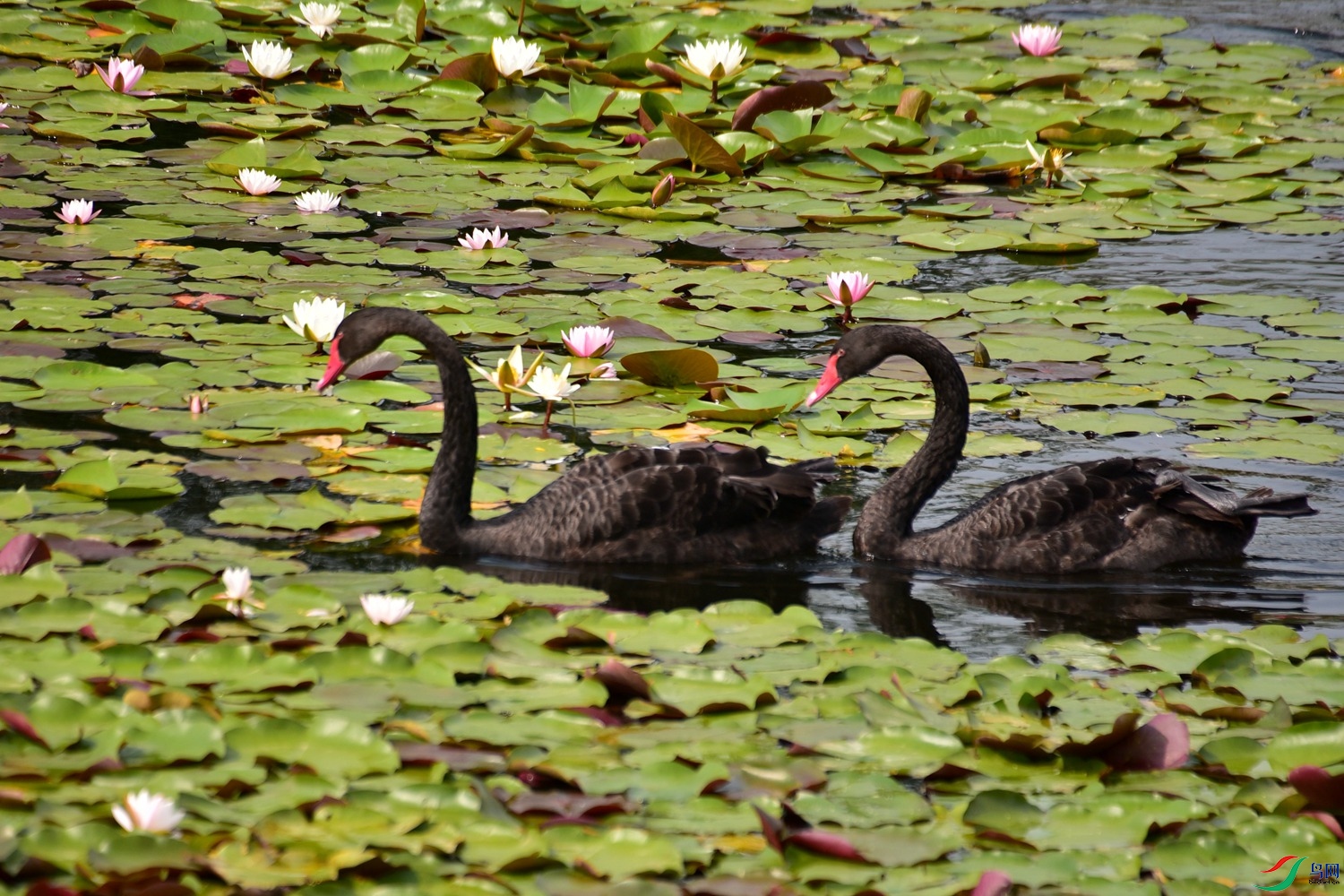 DSC_2563.JPG