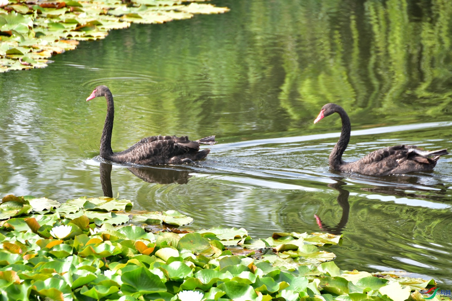 DSC_2567.JPG