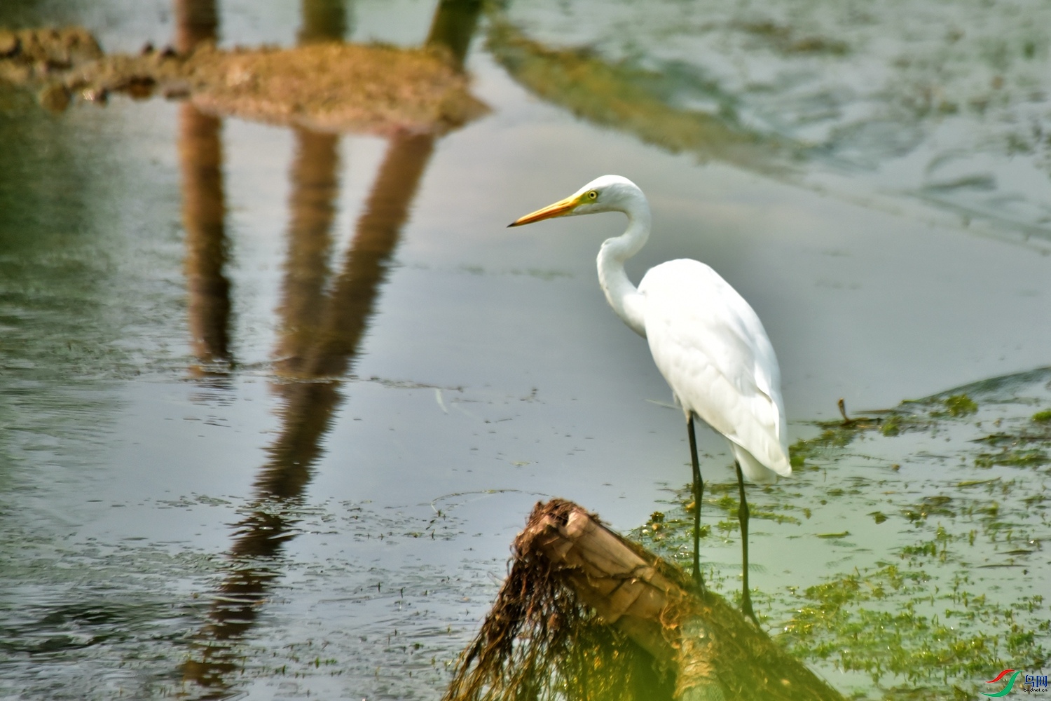 DSC_5802.JPG