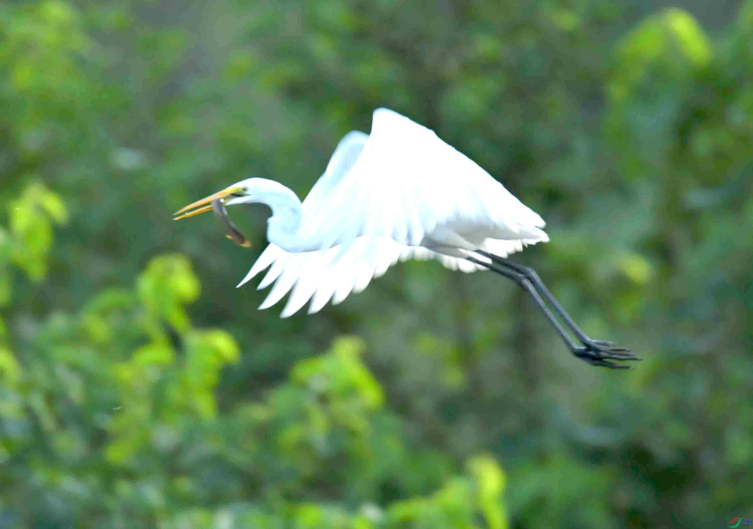 DSC_9563.JPG