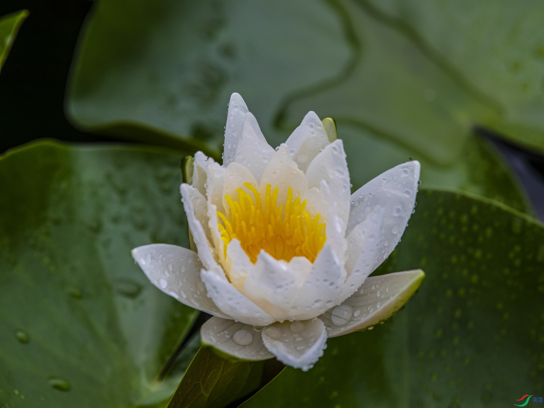 059 ����1.jpg