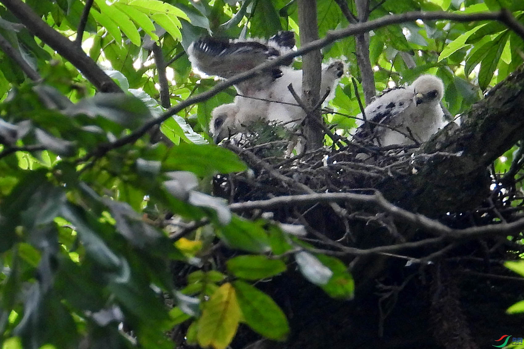 DSCN3127.jpg