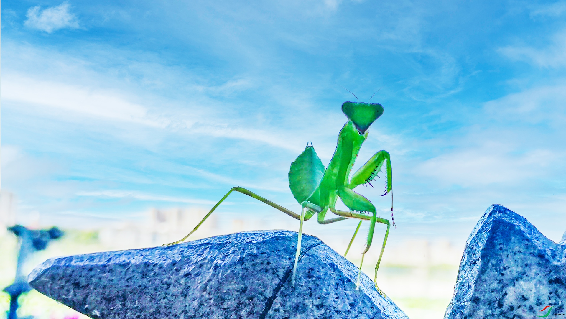 IMG_20220710_083045---1 .jpg