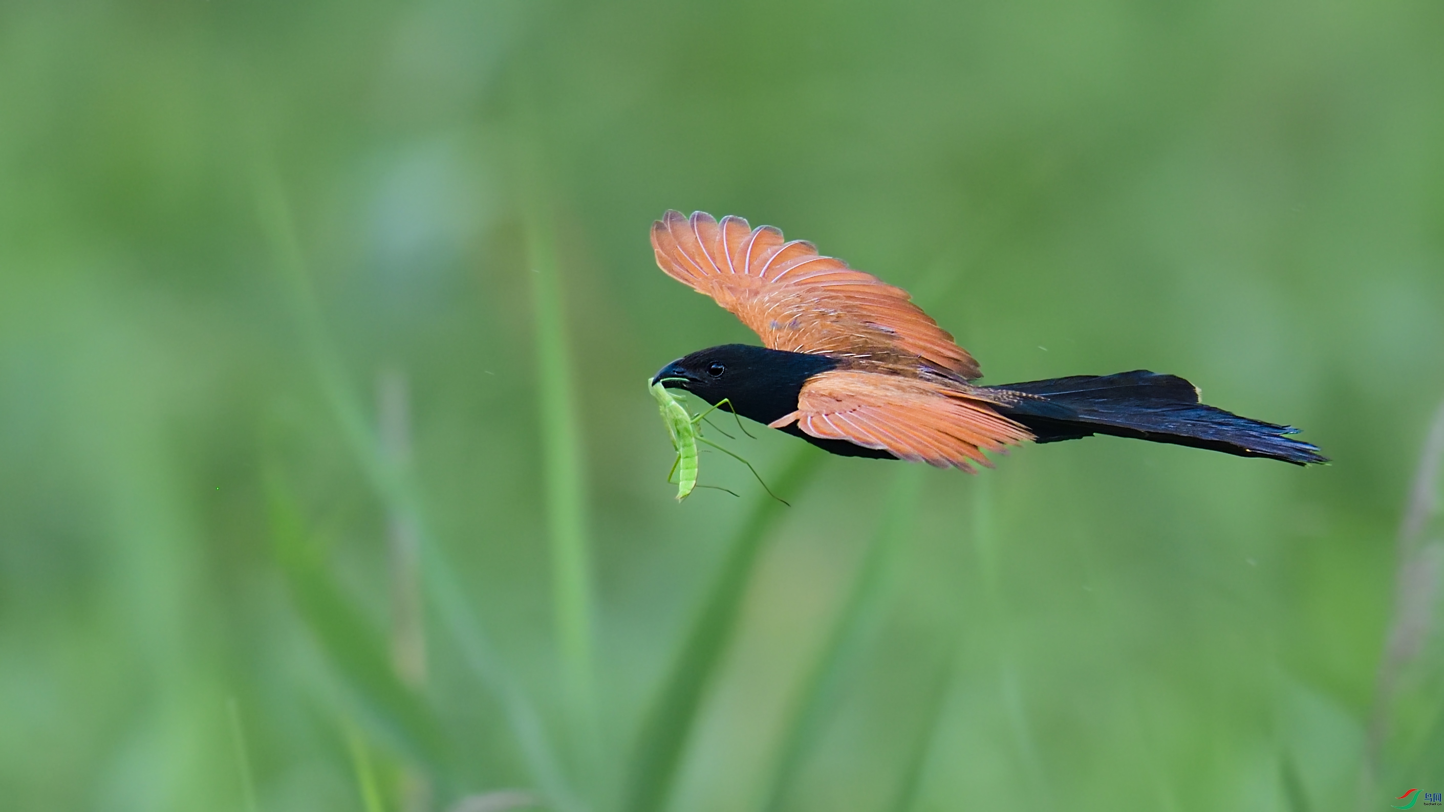 Сѻ��DSC_7018.jpg