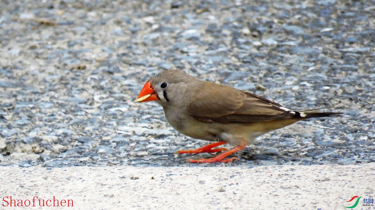 IMG_7633.JPG