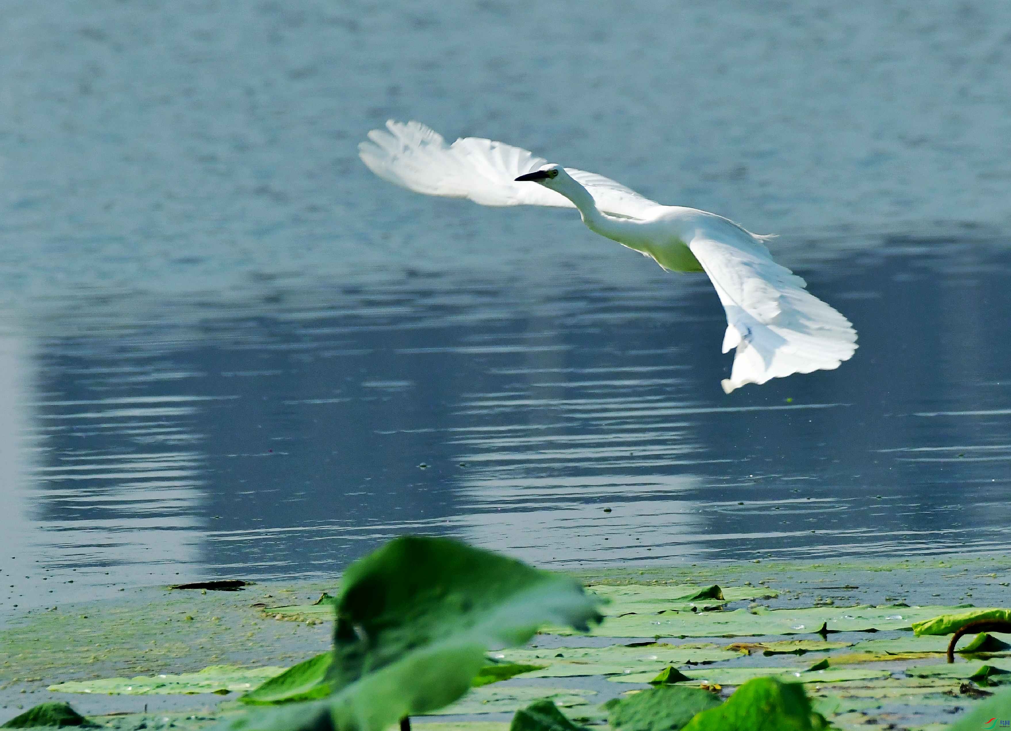 DSC_5689_conew1.jpg