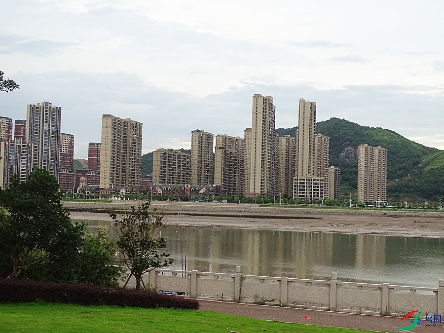 DSC02274.JPG