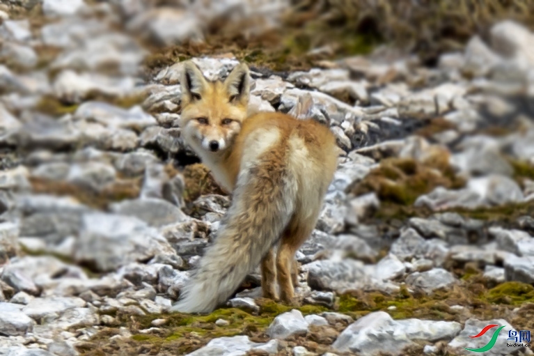 _DSC5151.jpgps6.jpgps7.jpg