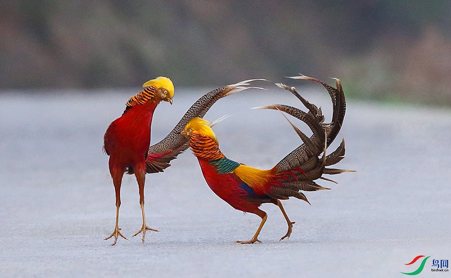 1-ݺ������ ����.jpg