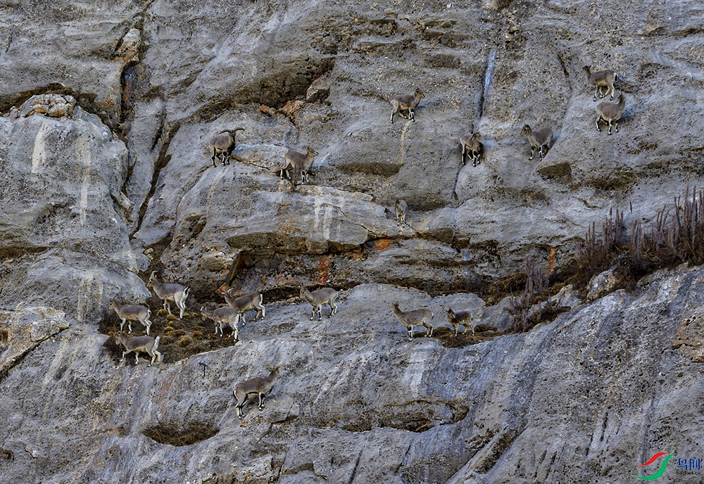 _DSC8038.jpg1.jpg