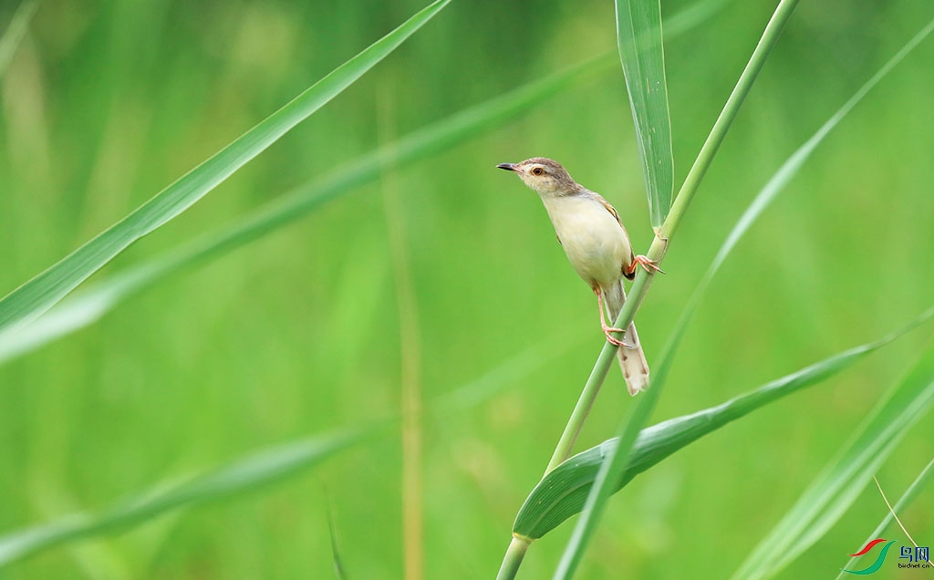 ׼������