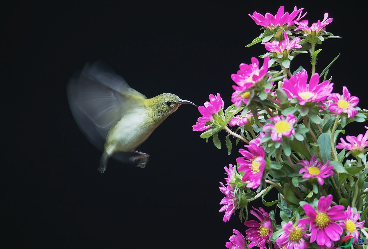 6047FC7F-A0B9-4444-AC61-D08A32AE1D9F.jpeg