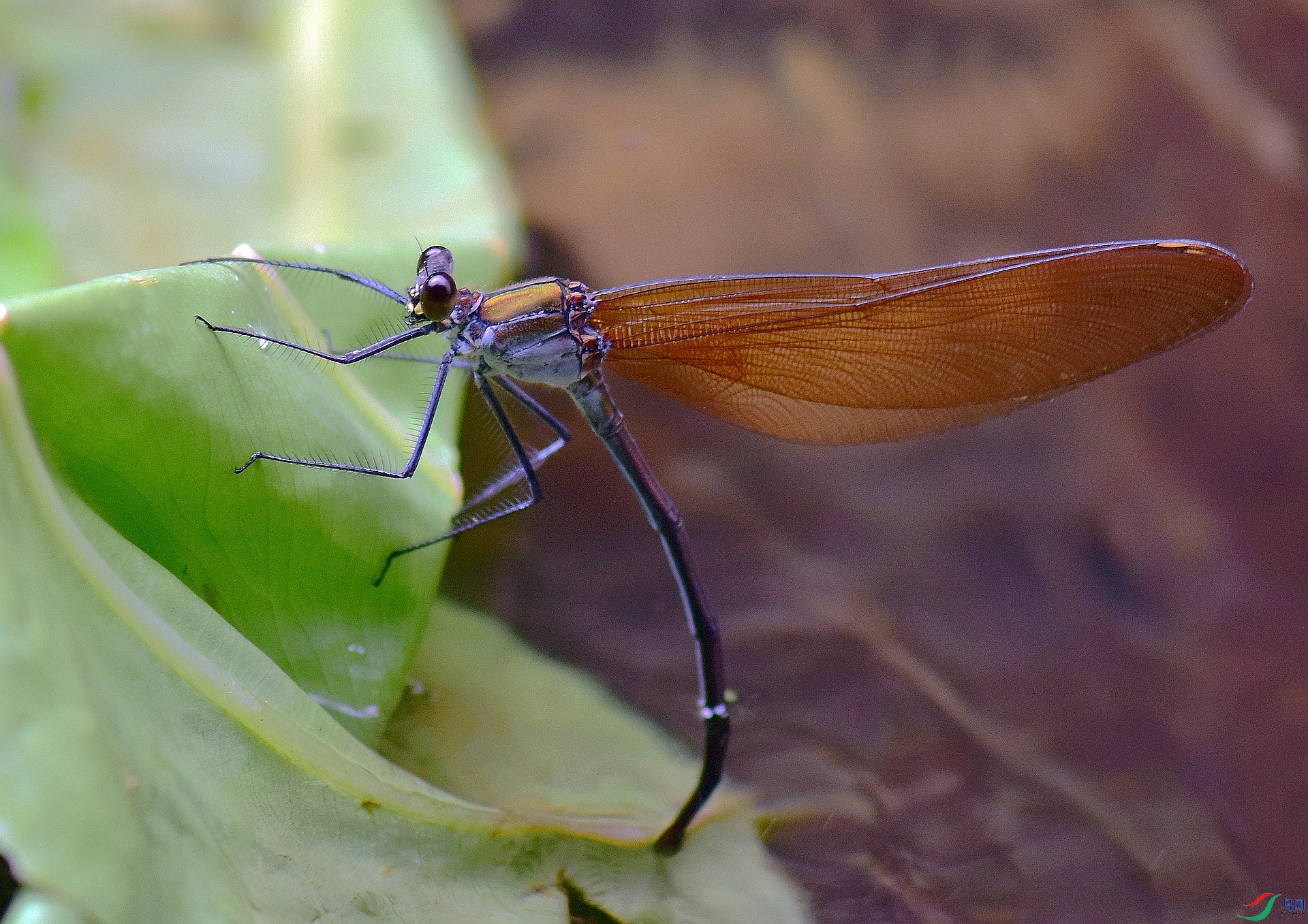 D8I_8902.jpg