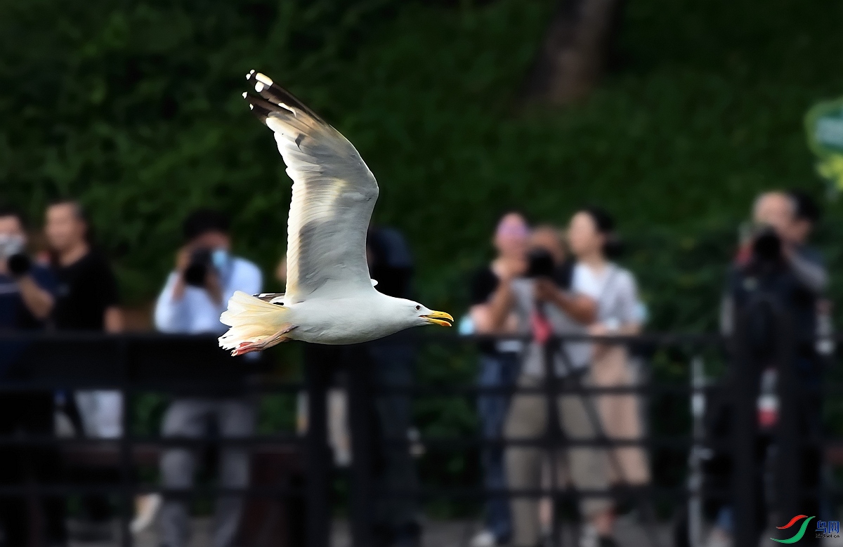 DSC_1416.jpg