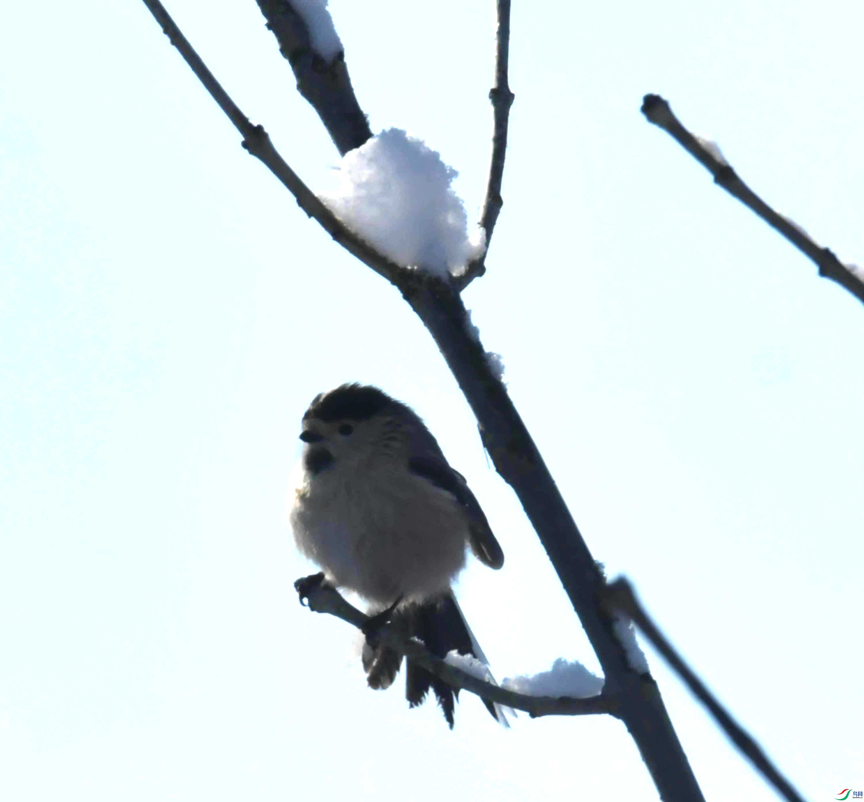 DSC_2404.JPG