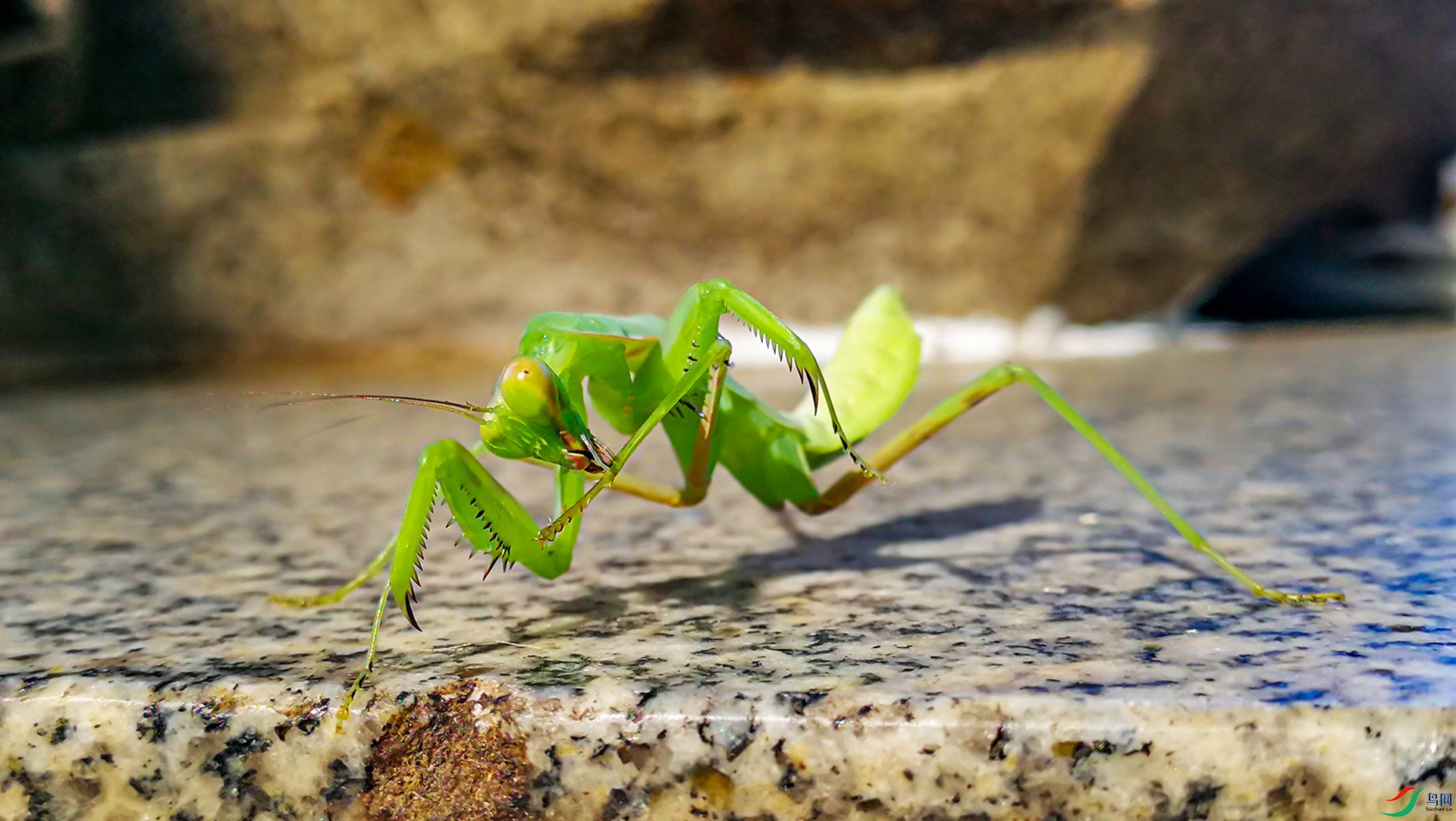 IMG_20220710_083418---1 .jpg