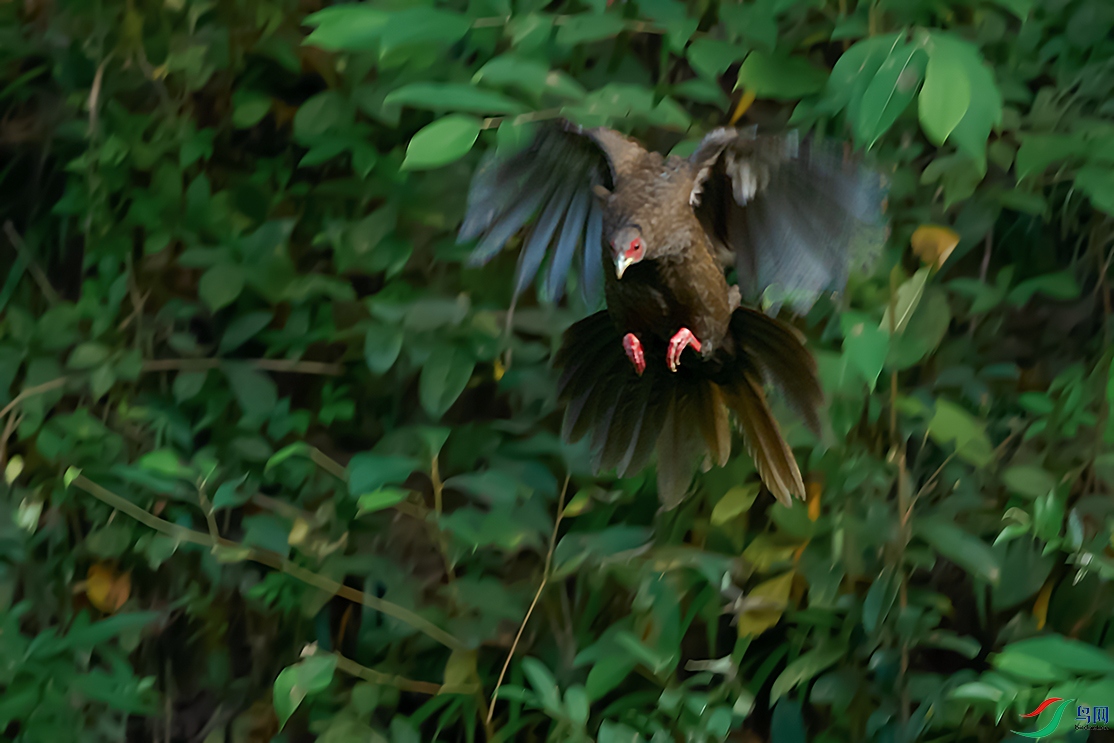DSC_3907_DxOa.jpg