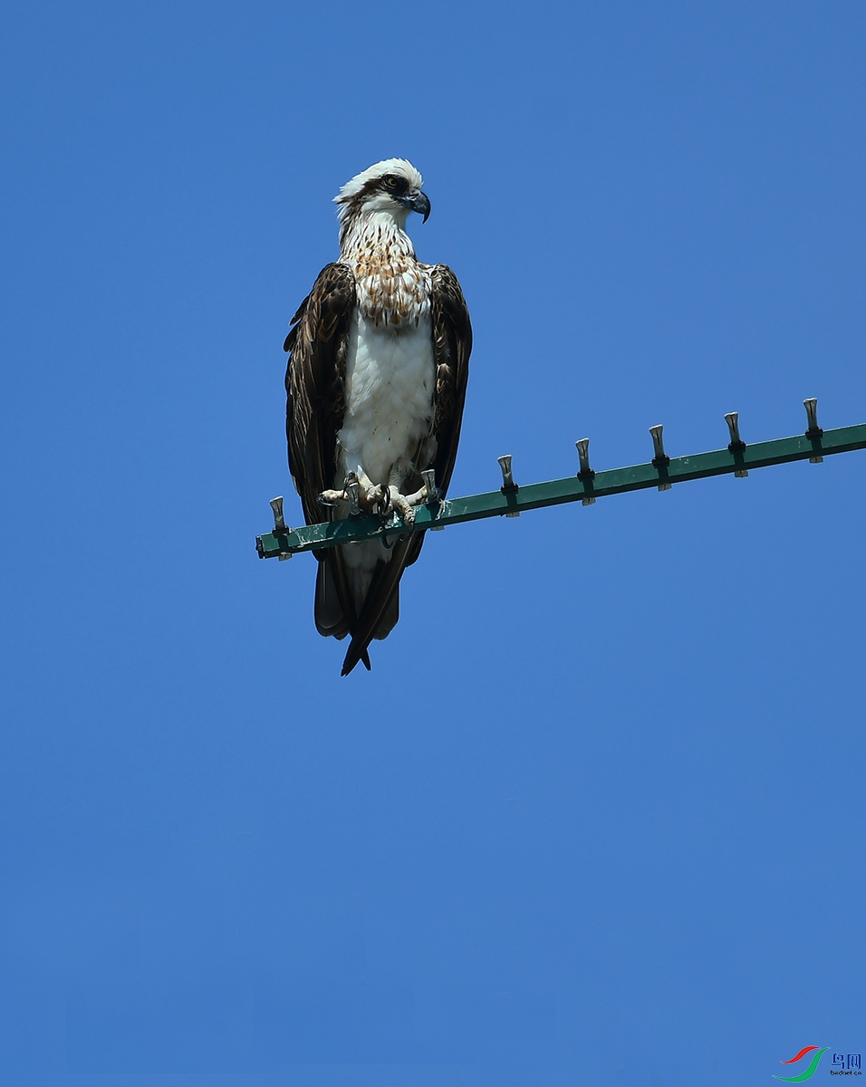 DSC_7657.JPG
