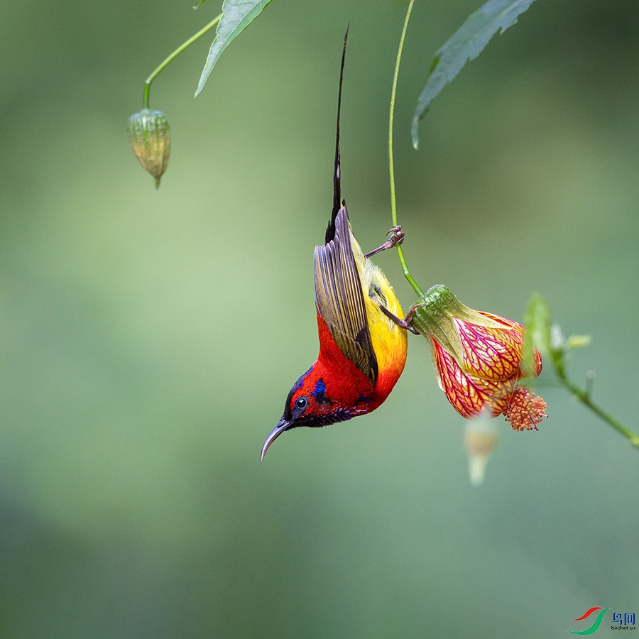 3V6A4697 ����.jpg