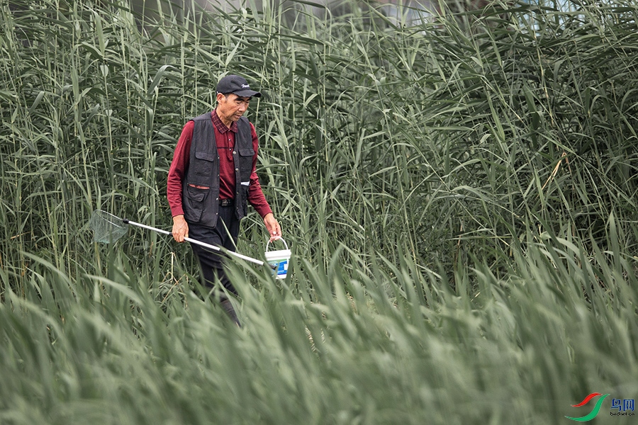 4X8A0862 ����.jpg