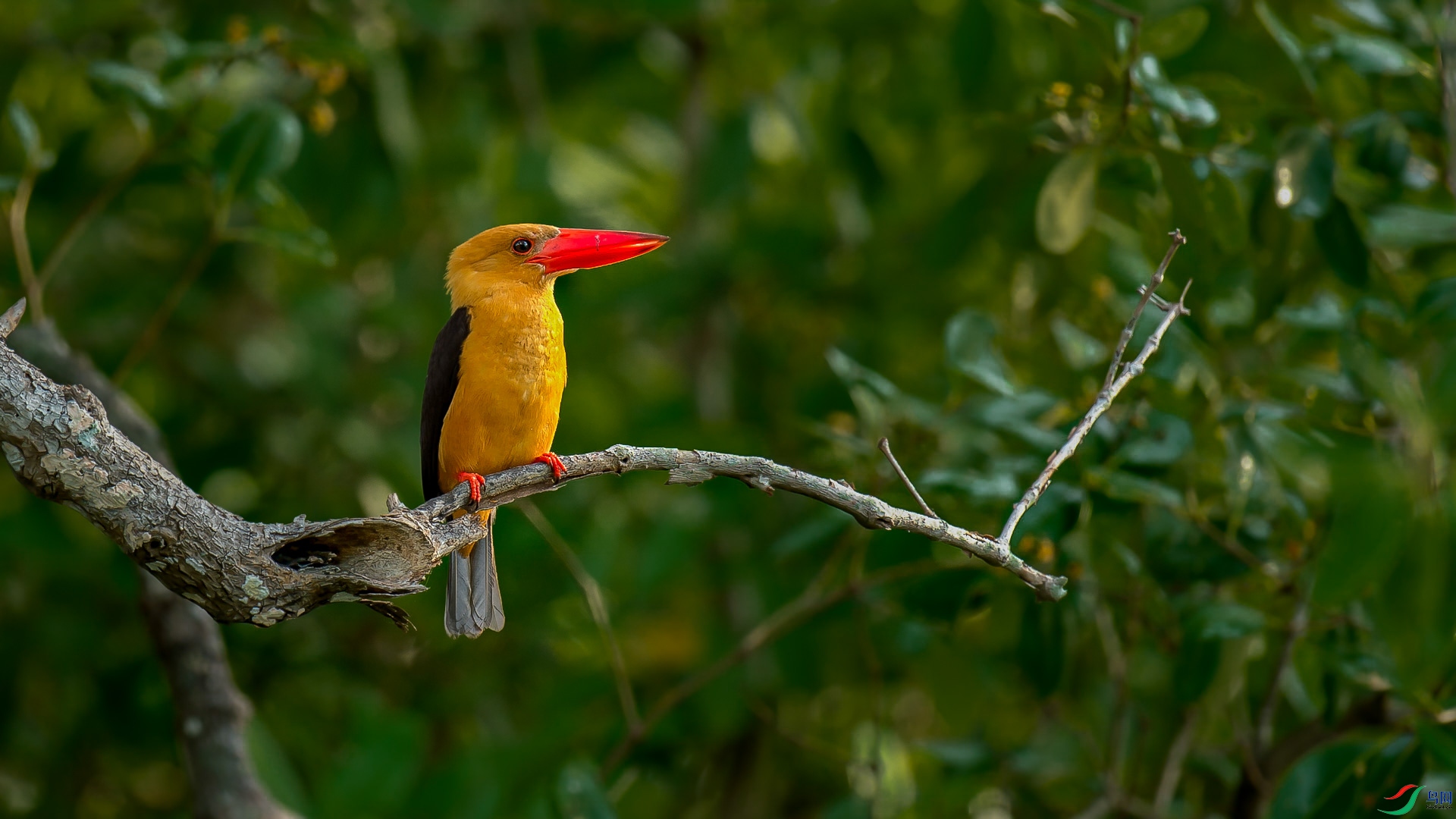 DSC_5058.jpg