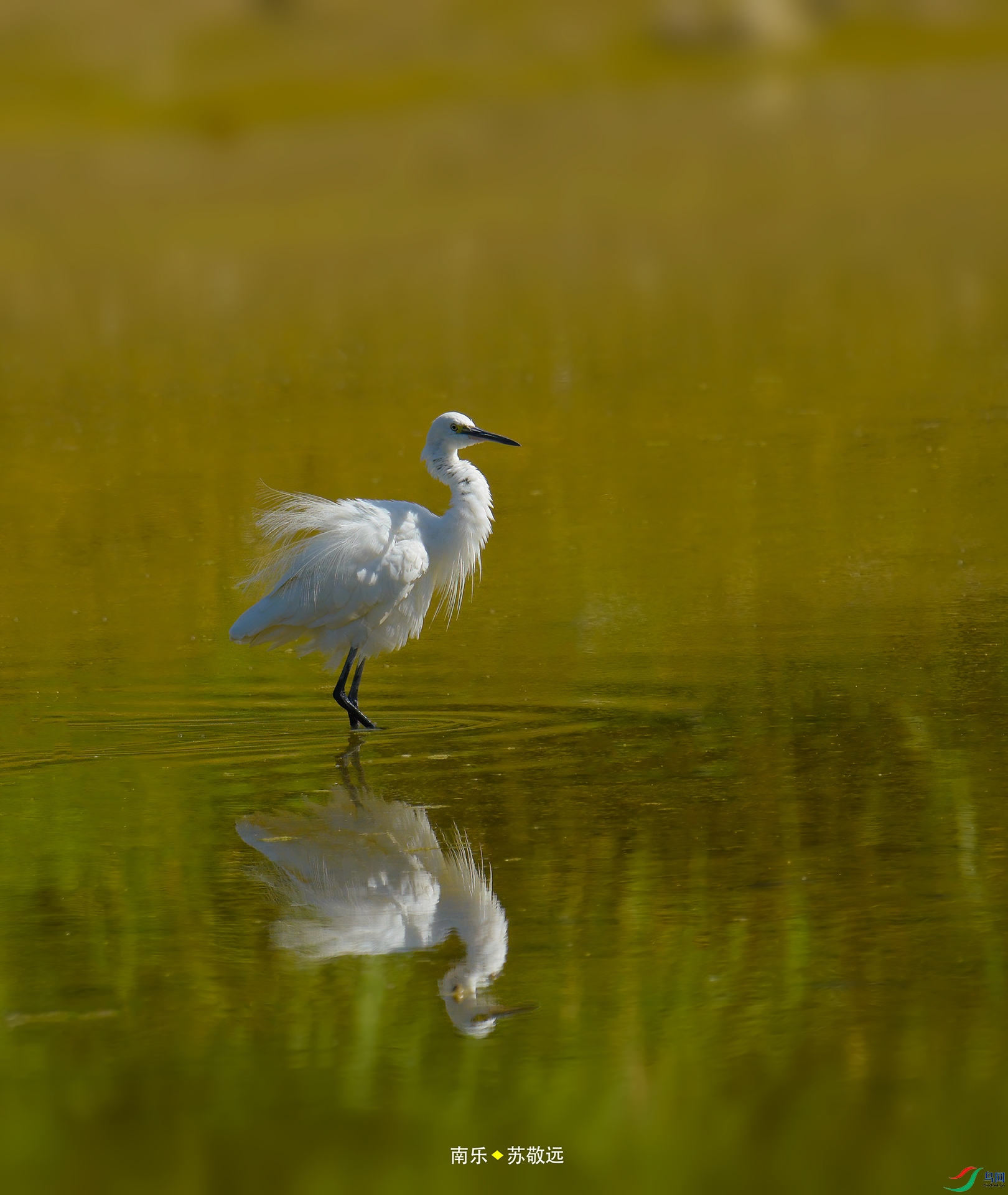 _DSC6061С.jpg