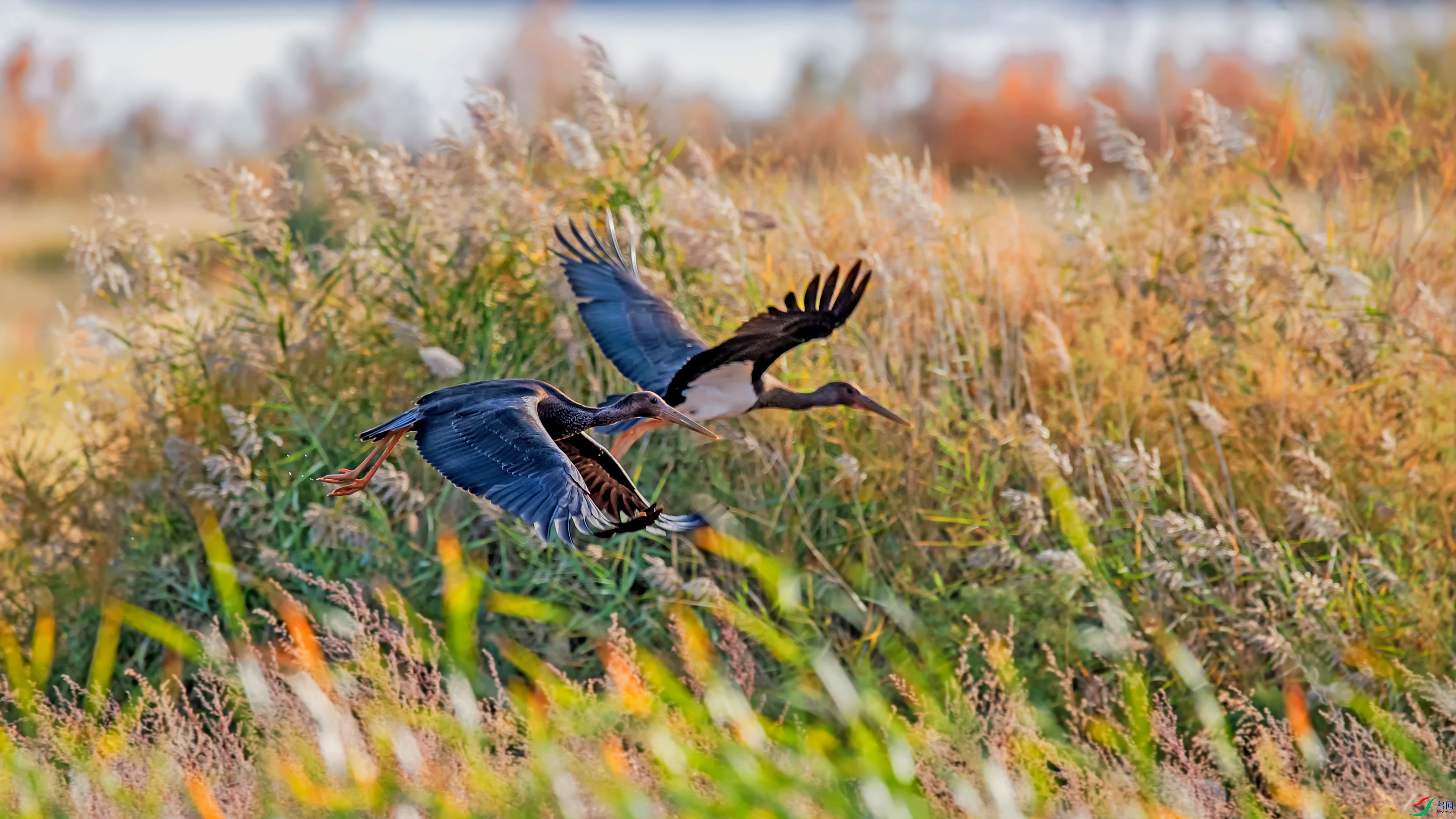 _DSC6238_��ͼ��.jpg--V1.jpg