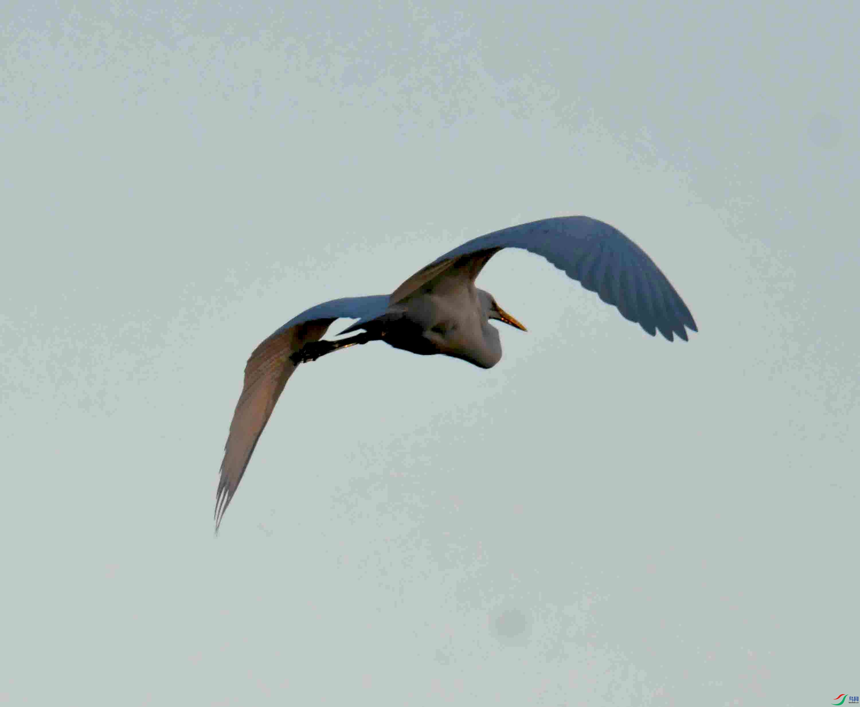 DSC_9544.JPG