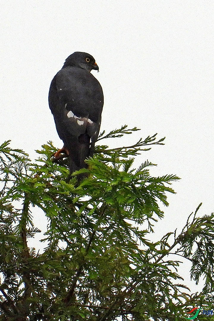 DSCN3027.jpg