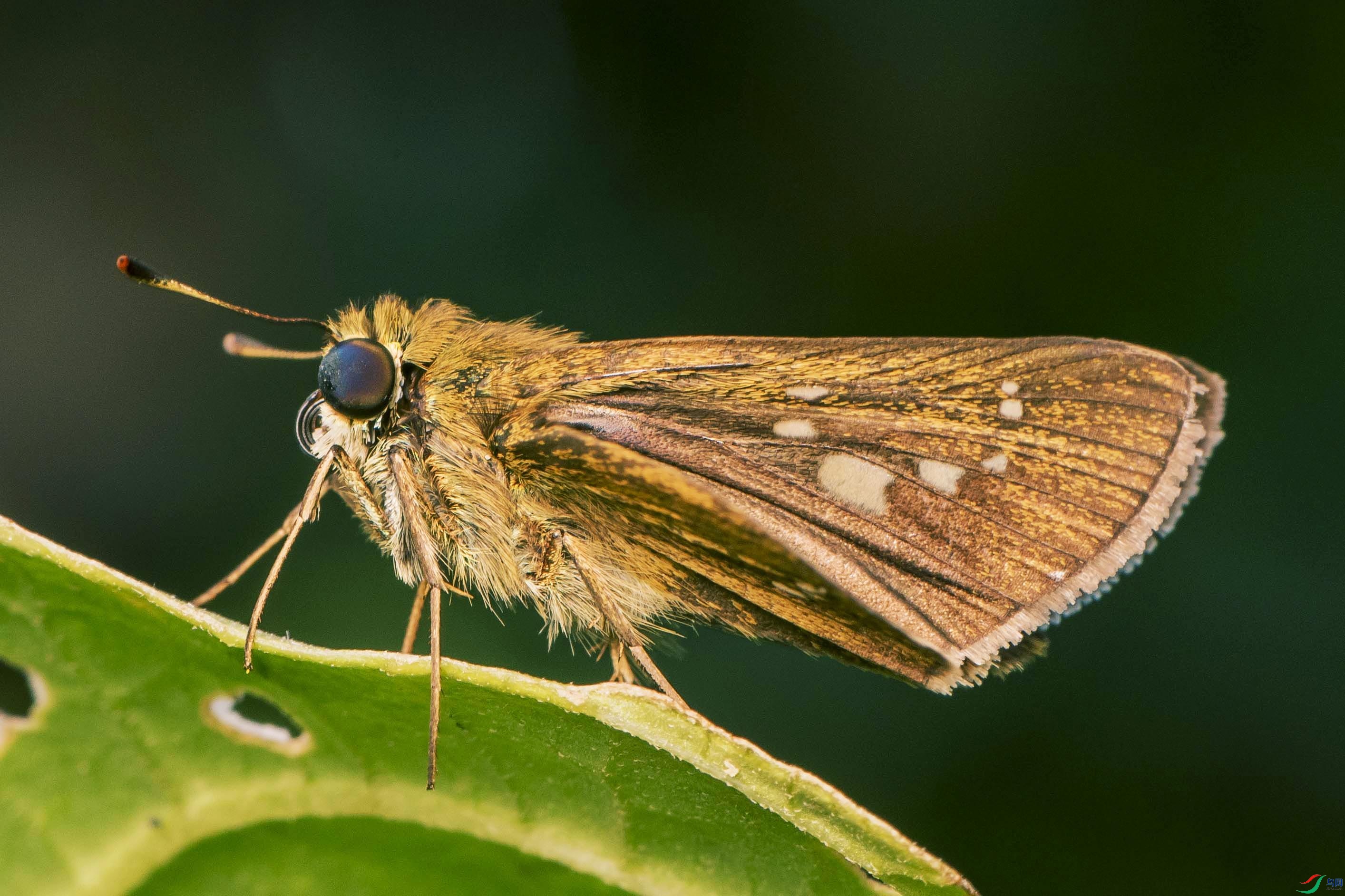 DSC_0317.jpg