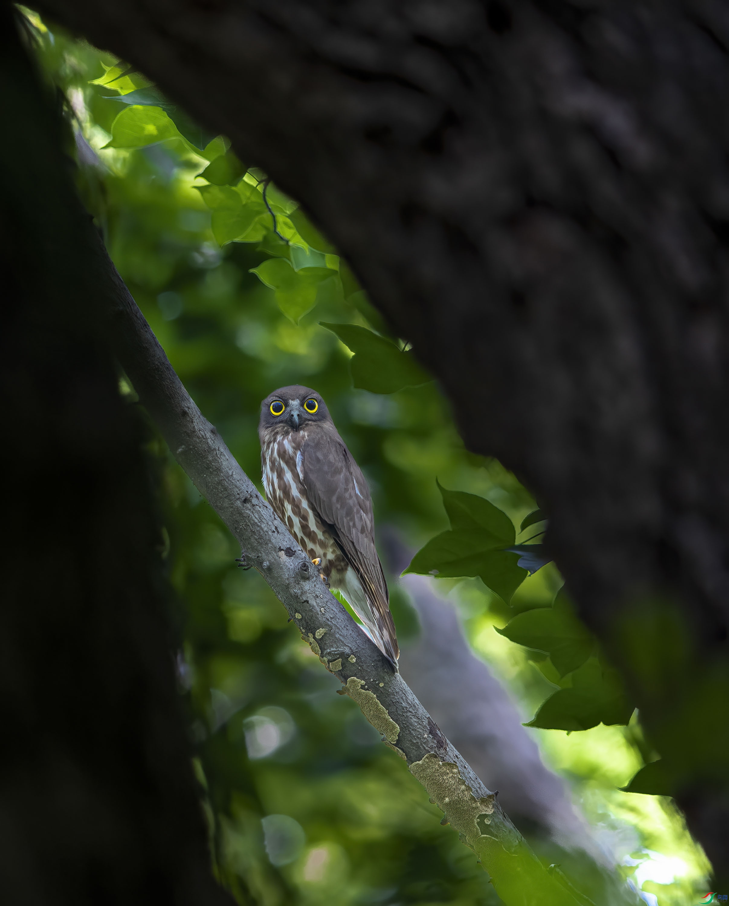 744A7940-1.jpg