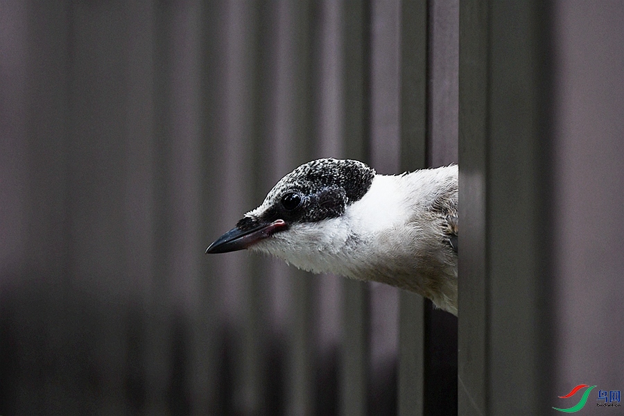 DSC_3268.JPG