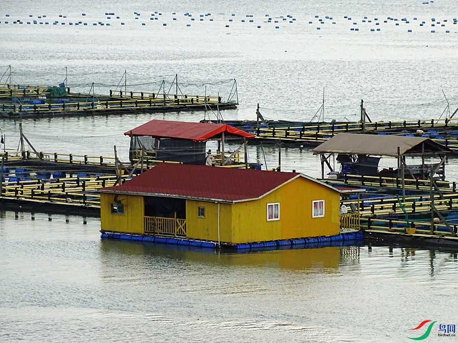 DSC02260.JPG